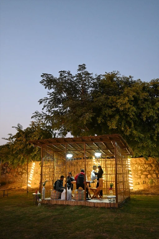 Vertical Image 22